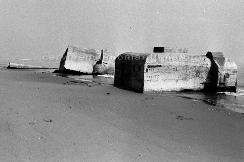 Bunker tedeschi la nostra normandia